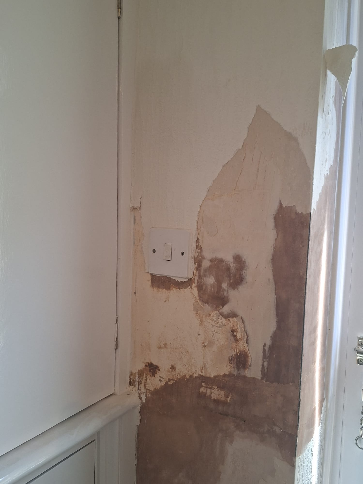 Damp-Proof Mill Ln project