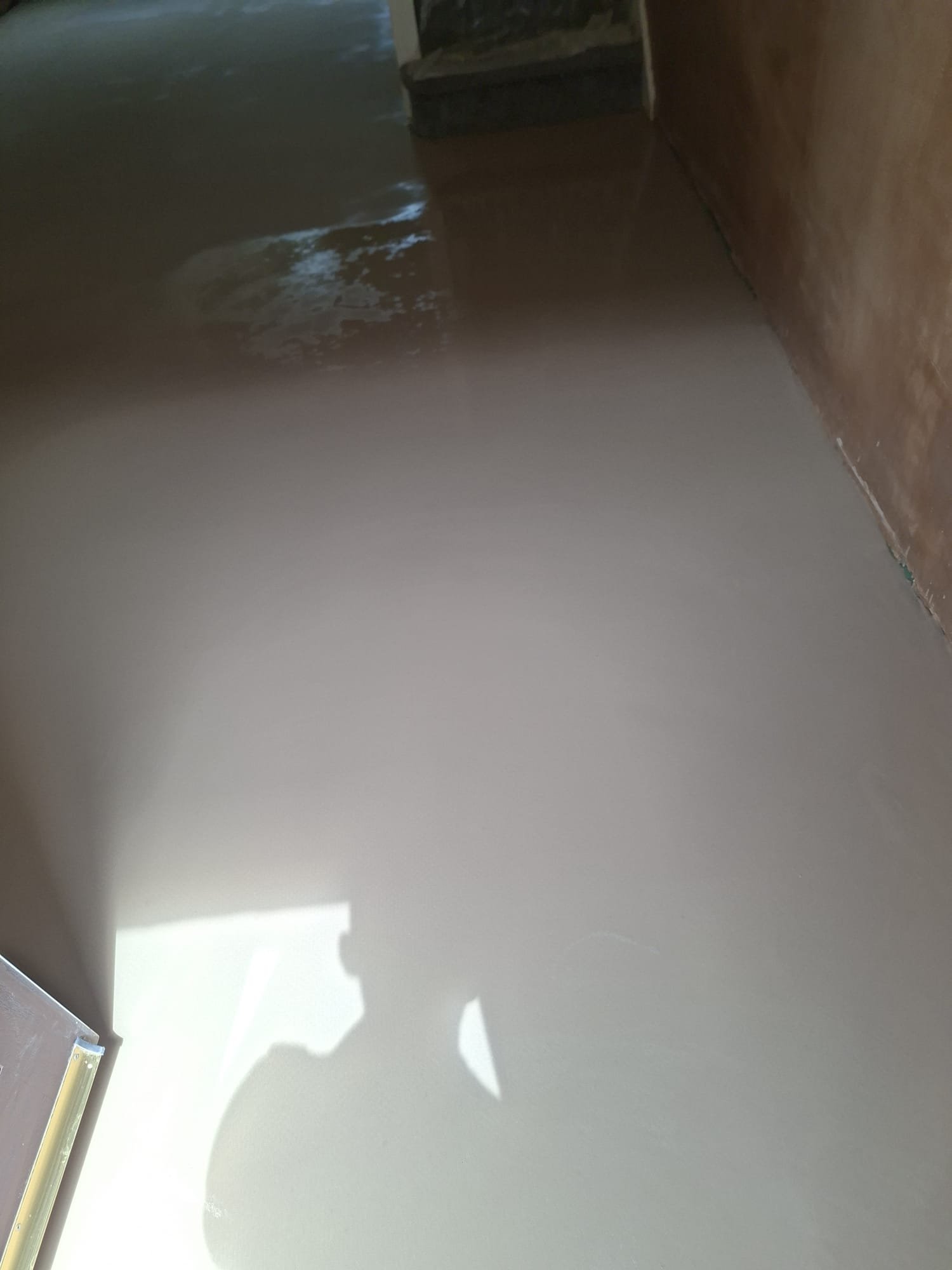 Damp-Proof Mill Ln project